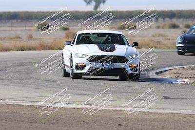 media/Nov-01-2025-PCA Central Coast (Sat) [[5e27ded23e]]/White Group/Grapevine/